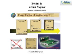 Bölüm I: